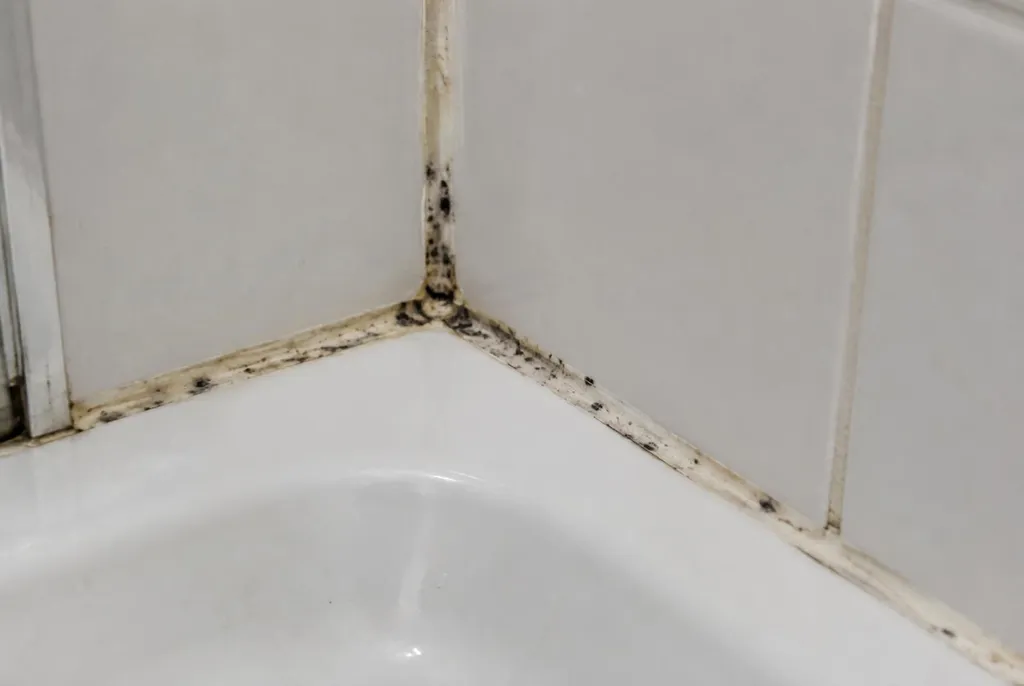 Kitbedrijf Hoenderloo – beschimmelde kitranden